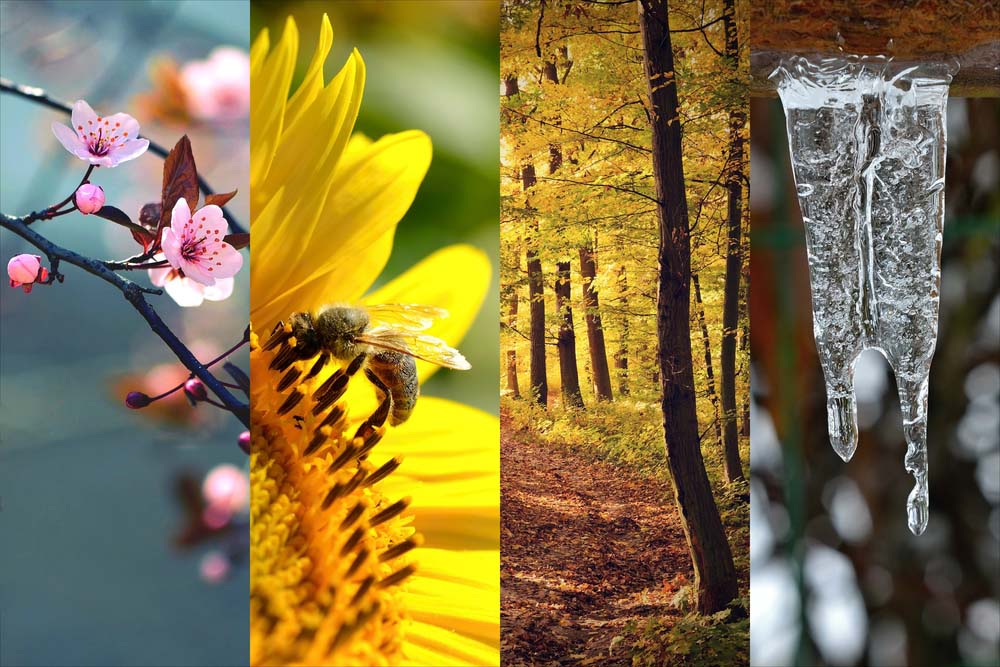 Seasons of Japan
