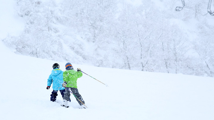 冬天到日本滑雪去